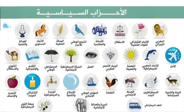 دراسة صادمة: الهوة تتسع بين الأحزاب والشباب في المغرب