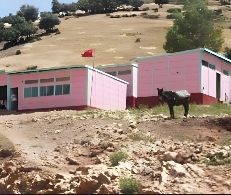 الحق يُؤجَّل باسم “التحيين”… والمنحة رهينة ذاكرة إدارية مثقوبة