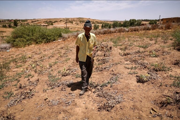 المطر أنقذ الحقول… والحرارة تذكّر الحكومة بأن الفلاحة لا تُدار بالتصريحات