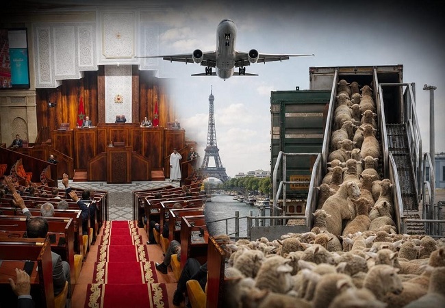 وقعوا على لجنة تقصي الحقائق… وطاروا إلى باريس!