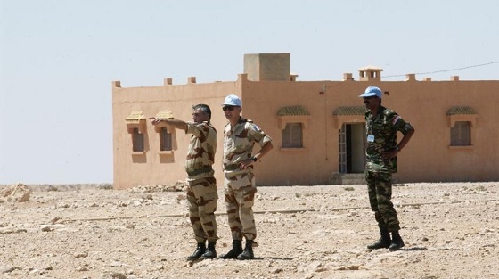 الصحراء المغربية تربك خصوم المملكة… الحكم الذاتي يحاصر البوليساريو والتصعيد يكشف العجز