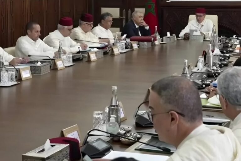 جيل Z يفضح حكومة أخنوش… من شعار الكفاءات إلى أضحوكة العالم