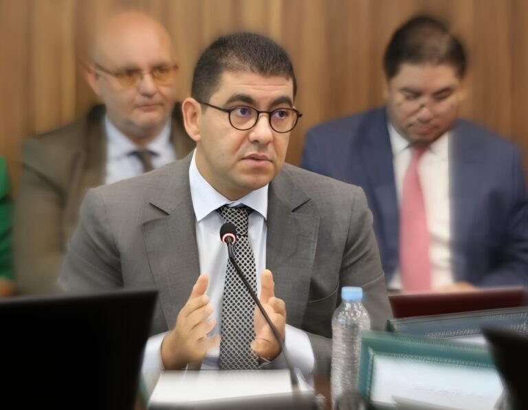 بنسعيد والإعلام الوطني… تنظيم ذاتي بإخراج حكومي