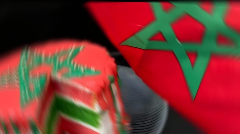 من يحمي هذا الوطن ؟ حين تتحوّل الدولة إلى كعكة… واللوبيات إلى أدوات توزيع