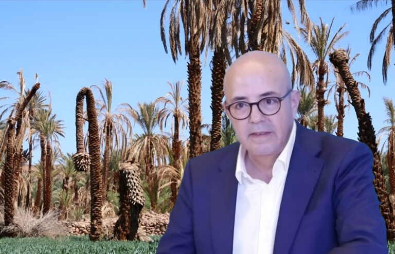 واحات المغرب بين الجفاف والملايير… التنمية التي تبخّرت في رمال الشعارات