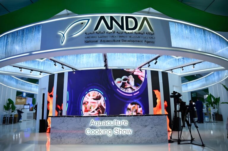 حين يطغى البرستيج على تمويل المشاريع: صفقة ANDA تثير أسئلة الحكامة