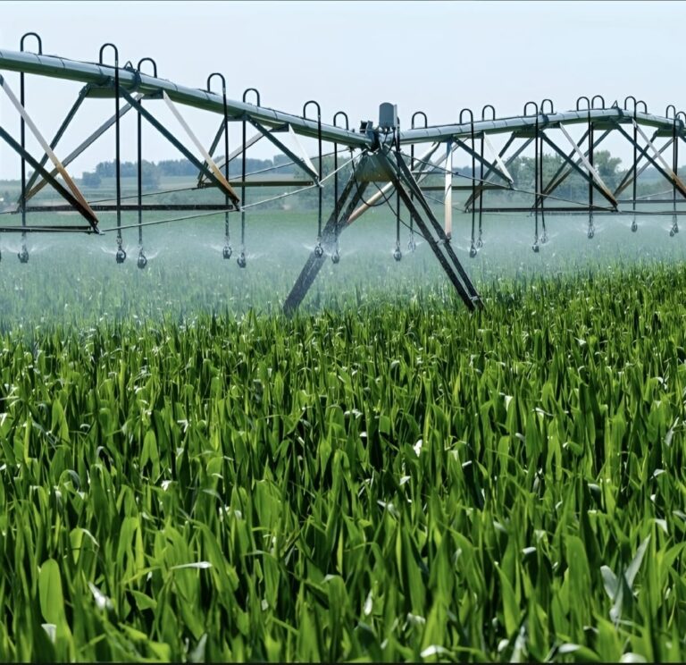 المغرب على حافة الإفلاس المائي… هل يدفع الأمن المائي ثمن التصدير الفلاحي؟