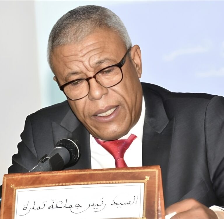 صفقة المليارات بتمارة.. هل تحمي وزارة الداخلية أموال دافعي الضرائب أم تكتفي بالمتابعة بصمت؟