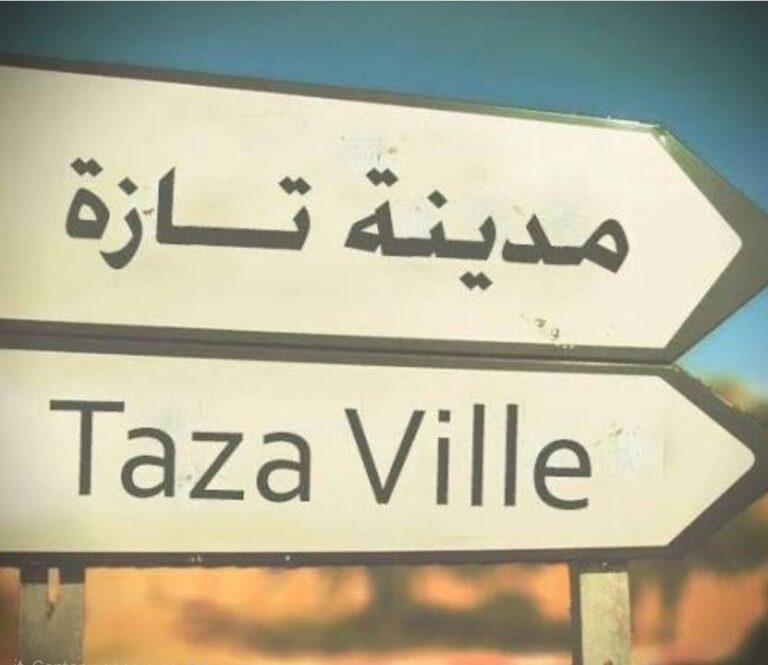 عقارات “بثمن البيضة”.. هل تحول الحي الصناعي بتازة إلى “ضيعة” خاصة لبعض المنتخبين؟