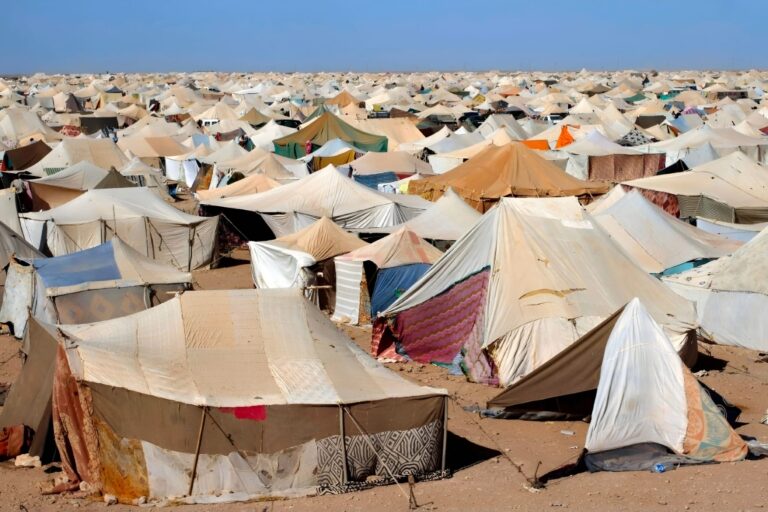 بلاغ أممي يعيد اكديم إزيك إلى الواجهة… ويضع شعارات الإصلاح الحقوقي بالمغرب على محكّ التفاصيل المؤلمة
