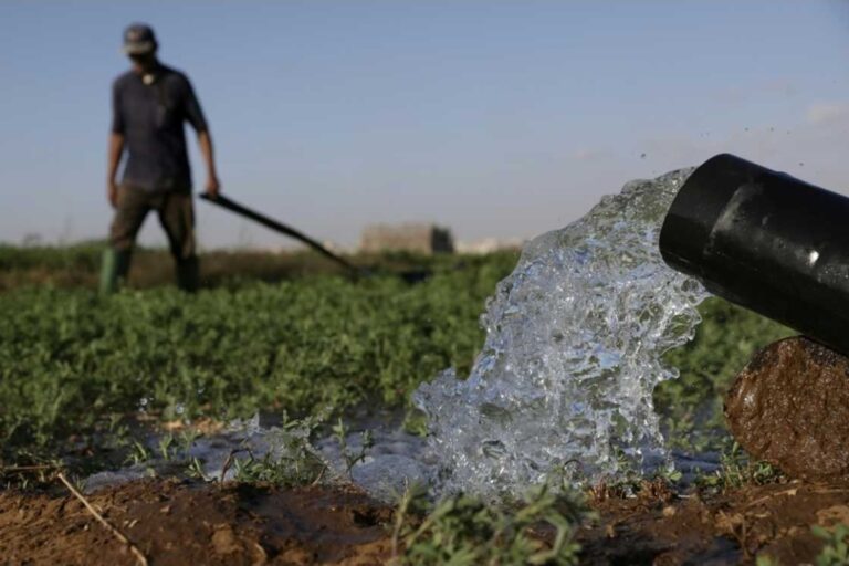 “المغرب الأخضر” تحت المجهر… دراسة علمية تكشف، بأرقام صادمة، المسافة بين الوعود وواقع الحقول