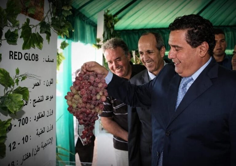 بعد 12 سنة وعشرات المليارات… يُرحَّل تقييم «المغرب الأخضر» بلا تقرير نهائي: كم كلّفنا مخطط أخنوش؟